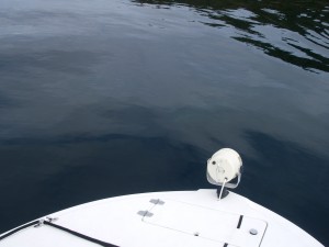  HB under Boat