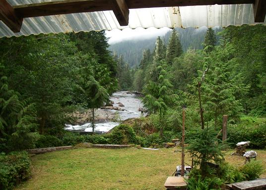 Cabin View
