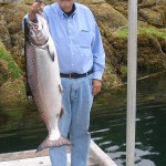 Huge salmon caught